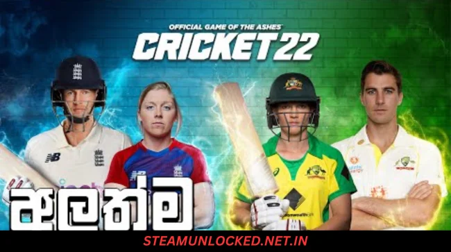 Cricket 22